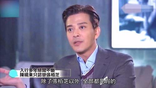 陈晓东个人资料简介,才华横溢的歌手与演员，多面发展的艺术人生